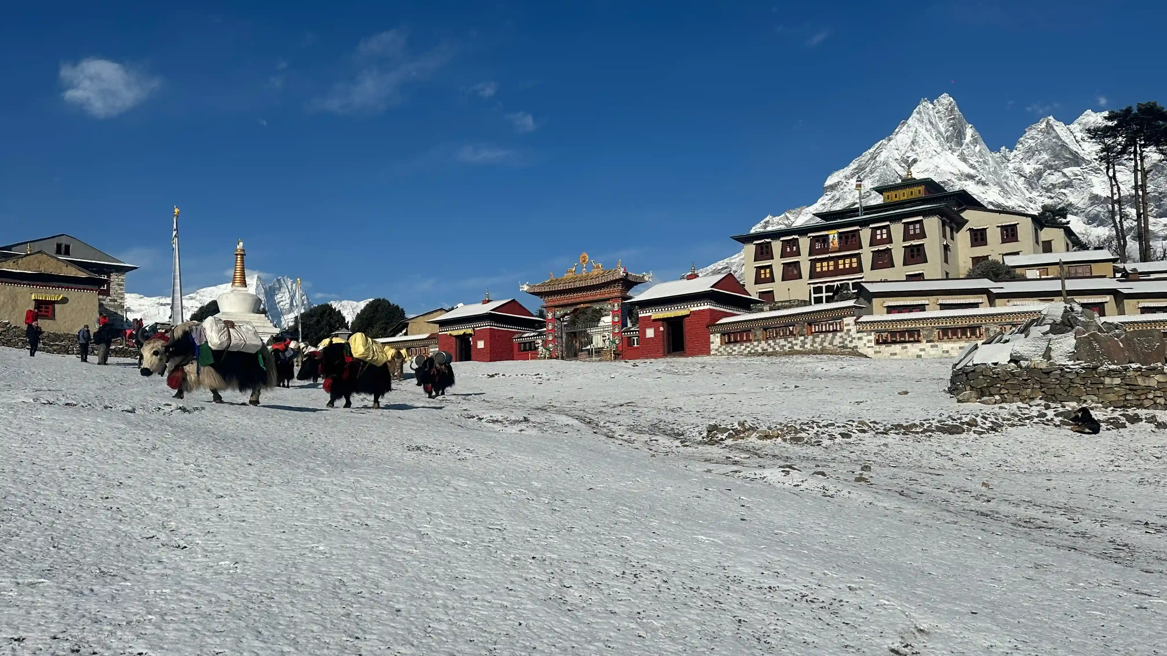 Tyangboche Monastery